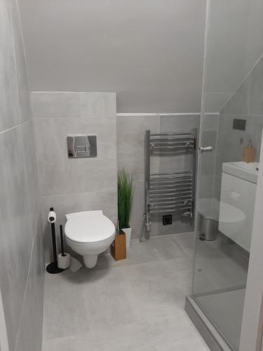 a white bathroom with a toilet and a shower at Izery Apartamenty in Szklarska Poręba