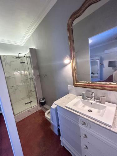 アントレーグ・シュル・ラ・ソルグにあるDomaine de Beauchampのバスルーム(シンク、シャワー、鏡付)