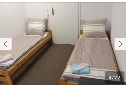 Легло или легла в стая в Saska Ochota Forest Guest House