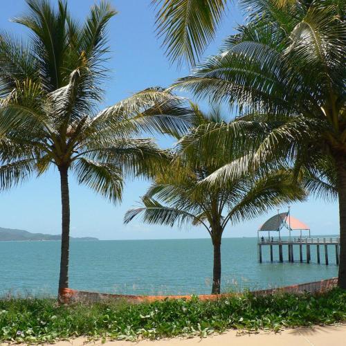 two palm trees on the beach near a pier at Residential two-bedroom unit on The Strand, self-check in, Wi-fi in Townsville