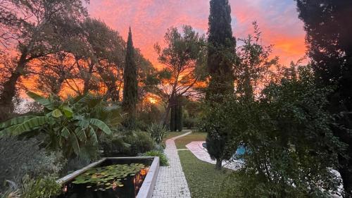 Κήπος έξω από το B&B 2 Chambres d'hôtes Gai Félibre avec Piscine et Jacuzzi