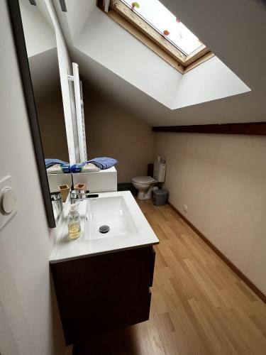 une salle de bain avec un lavabo et un miroir et des toilettes dans l'établissement Chalet de la Goutte, à La Bresse