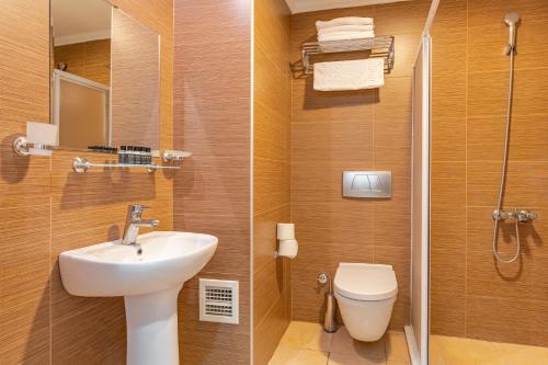 W łazience znajduje się umywalka, toaleta i prysznic. w obiekcie Mirada Del Monte w mieście Erciyes