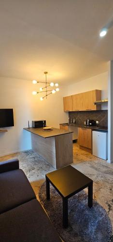 - une cuisine avec un canapé et une table dans une chambre dans l'établissement Massilia New'z appart 02, à Marseille