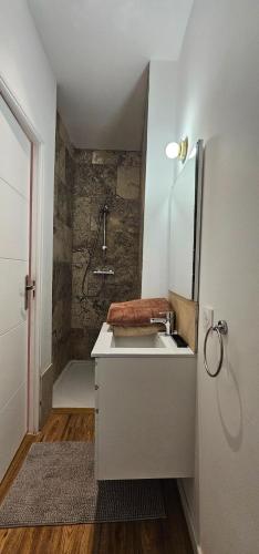 une petite salle de bain avec un lavabo et une douche dans l'établissement Massilia New'z appart 02, à Marseille