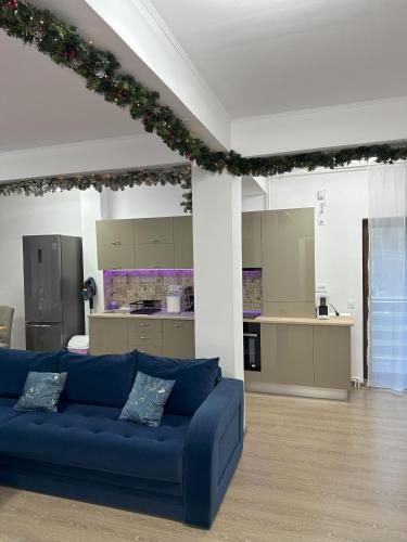 Η κουζίνα ή μικρή κουζίνα στο Agi’s Apartment Predeal