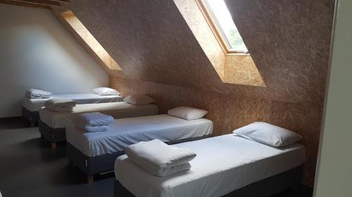 Un grupo de 4 camas en una habitación con ventana en Niedras, en Biksti