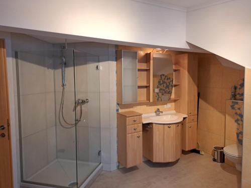a bathroom with a sink and a shower at Edelweiss Apartments 200m zum Lift - Silvretta Card Premium Inklusive in See