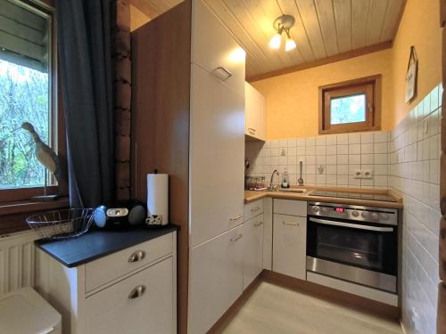 eine kleine Küche mit einer Spüle und einem Herd in der Unterkunft Ulmenhof Melfsen in Oeversee