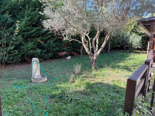 um jardim com uma mangueira de jardim ligada a uma árvore em Villa Carmela em San Giovanni in Marignano