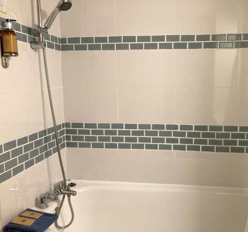 a bathroom with a bath tub with a shower at Résidence Thibaud in Toulouse