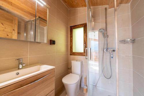 y baño con aseo, ducha y lavamanos. en Le Relief - Maison avec magnifique vue montagne aux Bettex, en Saint-Gervais-les-Bains