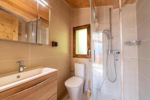 un bagno con wc, doccia e lavandino di Le Relief - Maison avec magnifique vue montagne aux Bettex a Saint-Gervais-les-Bains