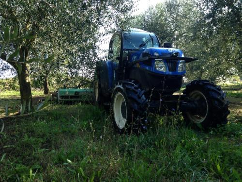 a blue tractor parked in a field of grass at Fattoria Lucciano in Borghetto