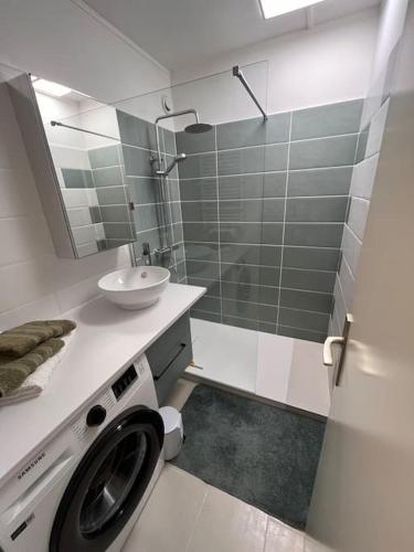 une machine à laver dans une salle de bain avec un lavabo dans l'établissement Studio entre forêt et vignoble !, à Turckheim