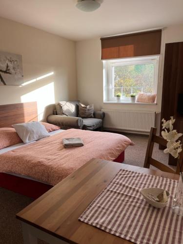 a bedroom with two beds and a table and a couch at Apartmány U Šťastných in Cerny Dul