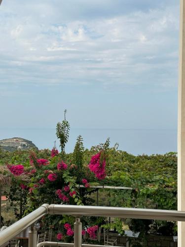 a view from a balcony with pink flowers at ELÉA Guesthouse himare in Himare
