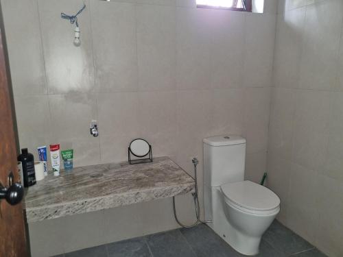 Katugastota的住宿－Lion Shade Homestay，一间带卫生间和大理石台面的浴室