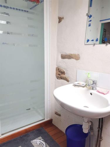 une salle de bain avec un lavabo et une douche dans l'établissement Maison 4 pièces 6 personnes - LIZ, à Sarzeau