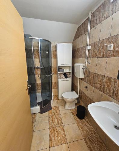 a bathroom with a toilet and a shower and a sink at Studio Pekrska vila in Limbuš
