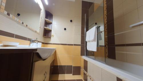 uma casa de banho com um lavatório e um chuveiro em Apartmán U Pošty Králíky em Králíky