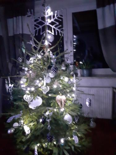 a christmas tree with lights on top of it at dom w Junoszynie in Junoszyno
