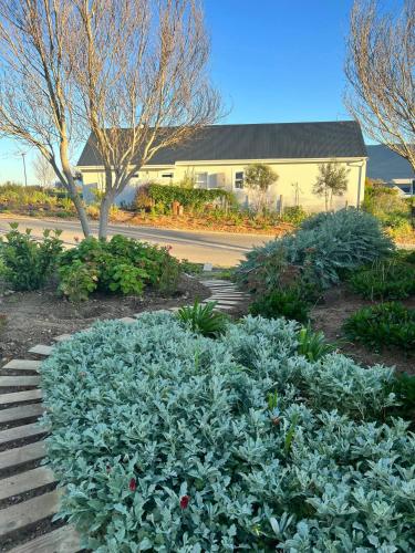 a garden of plants with a building in the background at A Mountain & Country Haven in Stanford