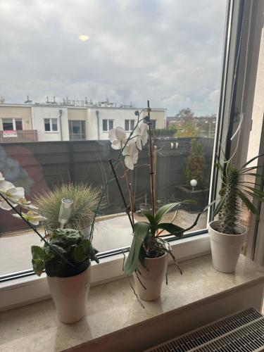 Μπαλκόνι ή βεράντα στο Airport Apartment Regata Kiekrz lotnisko