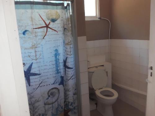 a bathroom with a toilet and a shower curtain at Solitaires BnB in Durban