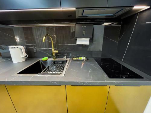 a kitchen counter with two sinks and a faucet at LUX Апартаменти MYFREEDOM поруч метро Театральна, Хрещатик in Kyiv