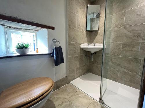 uma casa de banho com um chuveiro, um WC e um lavatório. em Bath Road Holiday em Bradford on Avon