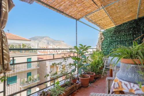 a balcony with plants and a view of the city at Artists penthouse in Palermo