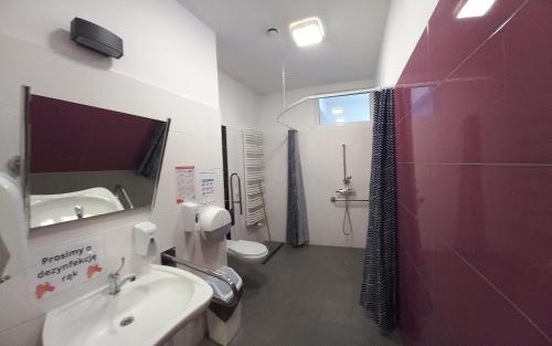 a bathroom with a sink and a toilet and a mirror at Szkolne Schronisko Młodzieżowe w Gdańsku School Youth Hostel in Gdańsk in Gdańsk