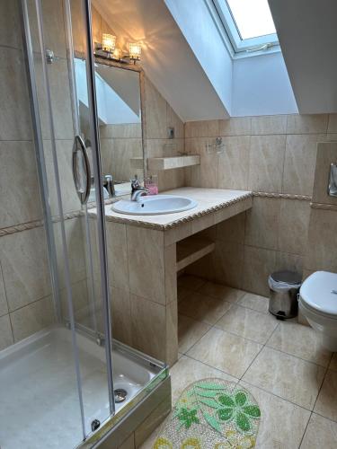 ein Bad mit einer Dusche, einem Waschbecken und einem WC in der Unterkunft Zamagurský dom in Červený Kláštor