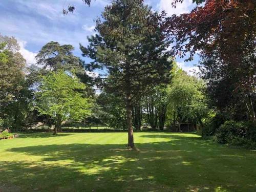 a tree in the middle of a green field at Escape to Ash House 18th Century Manor in Somerset in Martock