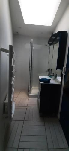 La salle de bains est pourvue d'un lavabo. dans l'établissement EMERAUDE, à Nantes