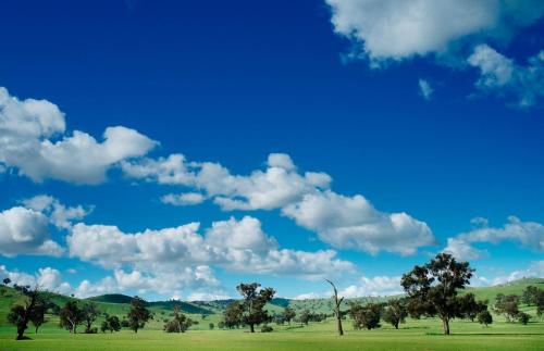 a field with trees and a blue sky with clouds at Kimo Estate in Gundagai
