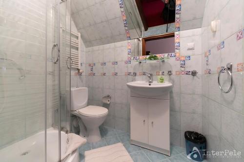 シュクラルスカ・ポレンバにあるWilla Słoneczna Róża pokoje w centrumのバスルーム(トイレ、洗面台、シャワー付)