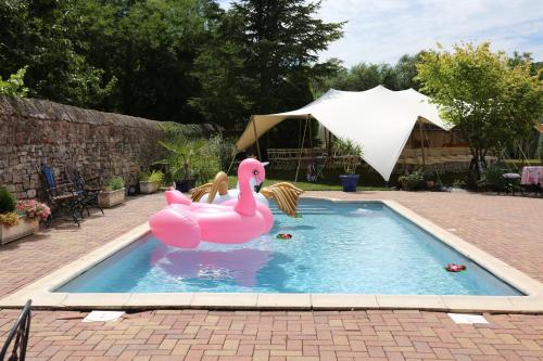 un cisne de plástico rosa en una piscina en Relais du Dompeter, en Molsheim