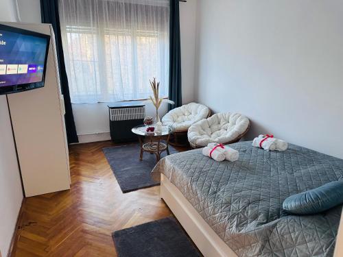 een slaapkamer met 2 bedden en een flatscreen-tv bij Rose Apartment in Boedapest