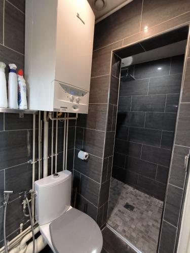 une salle de bain avec toilettes et douche dans l'établissement Loft Porte de Paris Croix de Chavaux 93100 Montreuil, à Montreuil