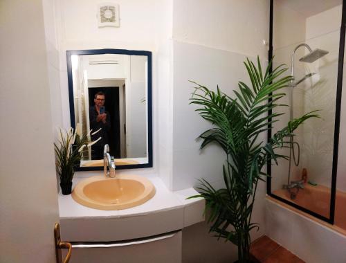 La salle de bains est pourvue d'un lavabo et d'un homme dans le miroir. dans l'établissement Résidence du parc des Tilleuls de Lyon 82 m2 Pkg free, à Lyon