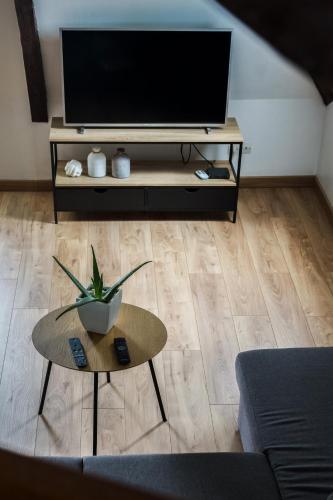 - un salon avec une télévision et une table avec une plante dans l'établissement Vue sur la cathédrale - Au cœur de Bourges, à Bourges