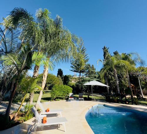 einen Pool mit zwei Stühlen und einer Palme in der Unterkunft La Pina Verde in Estepona