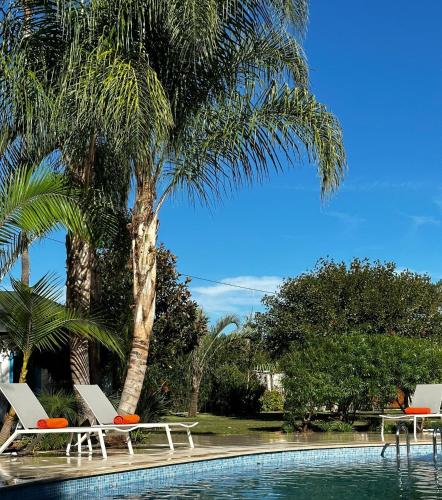 a pool with two lounge chairs and a palm tree at La Pina Verde in Estepona