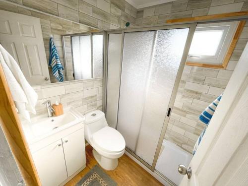 a bathroom with a shower and a toilet and a sink at Alojamiento en Cáhuil, Pichilemu in Pichilemu