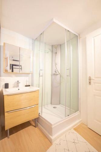 une salle de bain avec douche et lavabo dans l'établissement 3. charmant appartement proche centre et gare, à Valence