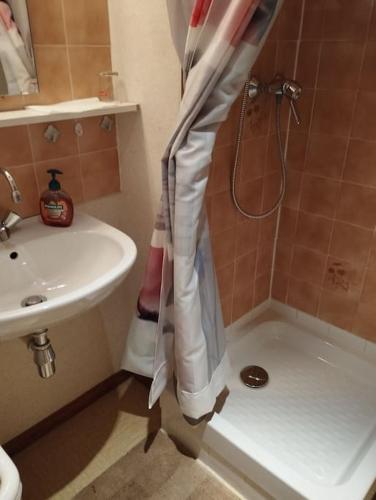 La salle de bains est pourvue d'un rideau de douche et d'un lavabo. dans l'établissement La Cascade: Appartement 4 personnes, au Grand-Bornand