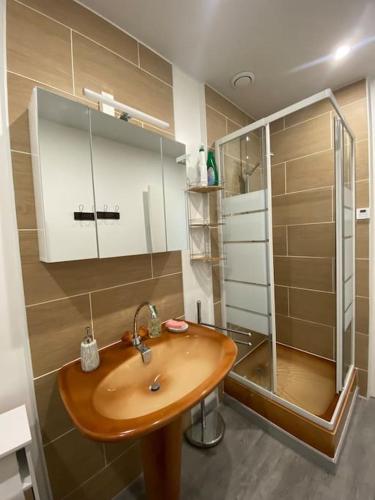 une salle de bain avec un lavabo et une douche dans l'établissement Cancale « la ville es gris », à Cancale