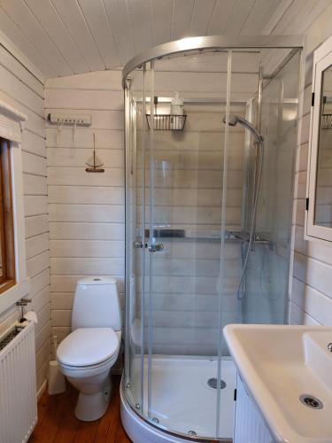a bathroom with a shower and a toilet and a sink at Bakkakot 1 - Cozy Cabins in the Woods in Akureyri